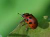 231048 – Photo : Sylvain M. – France (72)